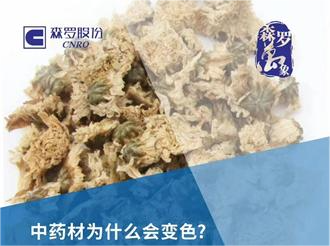 《森羅萬象》，萬象包羅 第2問