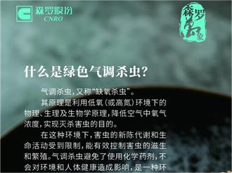 《森羅萬象》，萬象包羅 第12問